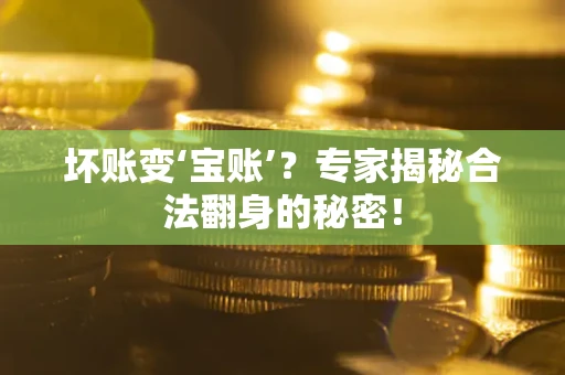 济南坏账变‘宝账’？专家揭秘合法翻身的秘密！