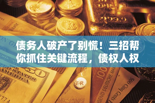 济南债务人破产了别慌！三招帮你抓住关键流程，债权人权益不再缩水