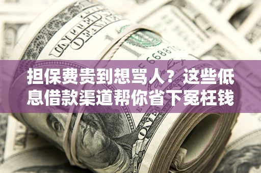 济南担保费贵到想骂人？这些低息借款渠道帮你省下冤枉钱
